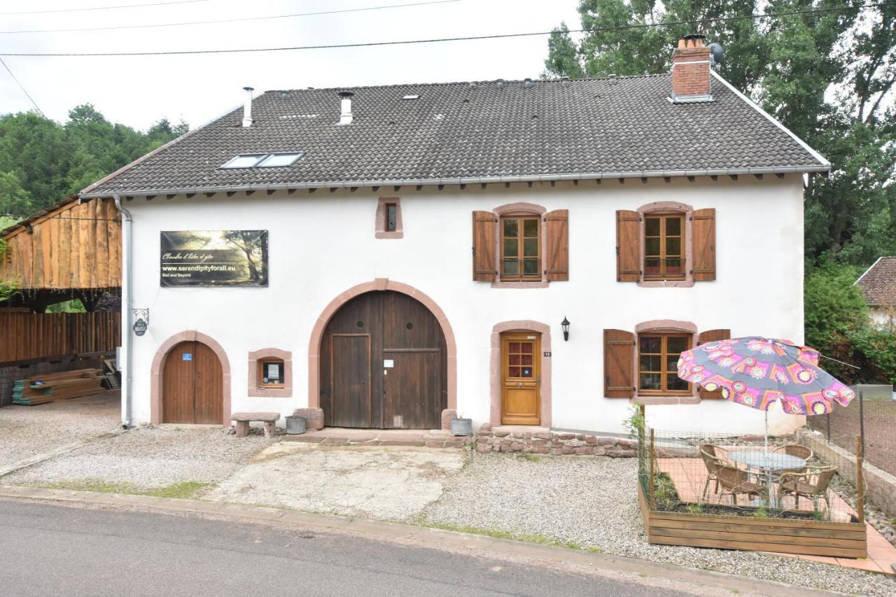 Serendipity For All Apartments Saint-Die-des-Vosges Екстериор снимка